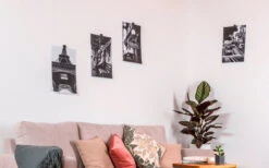 Silwy® Flex Magnethaken Inkl. Metall-Nano-Gel-Pads 5 Cm 8-tlg. Schwarz -Outdoor-Camping-Grillladen 336857 2526568