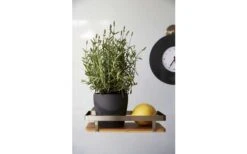 Wenko Universalregal Premium Wandregal -Outdoor-Camping-Grillladen 516434 3504149