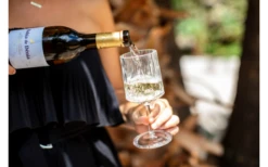 Berger Weinglas 2er Set 6 Berger Weinglas 2er Set -Outdoor-Camping-Grillladen 594239 4331207