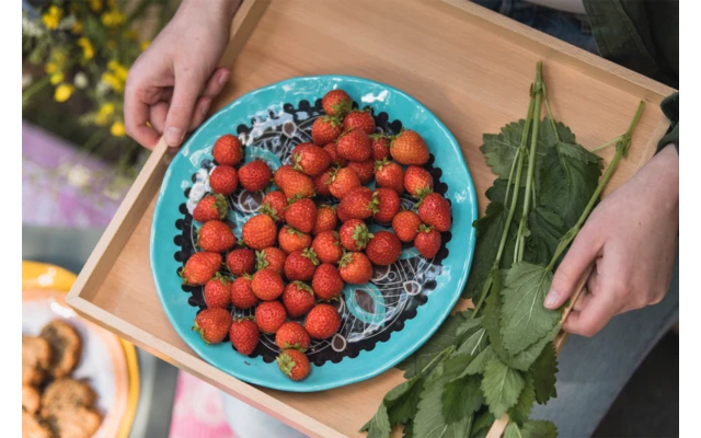 Rebel Outdoor Dessertteller 22 Cm Braun 1 Rebel Outdoor Dessertteller 22 Cm Braun