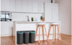 Rotho Twist Abfalleimer Mit Schwing- Und Klappdeckel 25 Liter Mistletoe Grün -Outdoor-Camping-Grillladen 688593 4830146