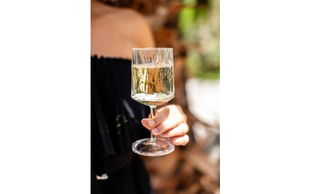 Berger Weinglas 2er Set 4 Berger Weinglas 2er Set – Bild 4